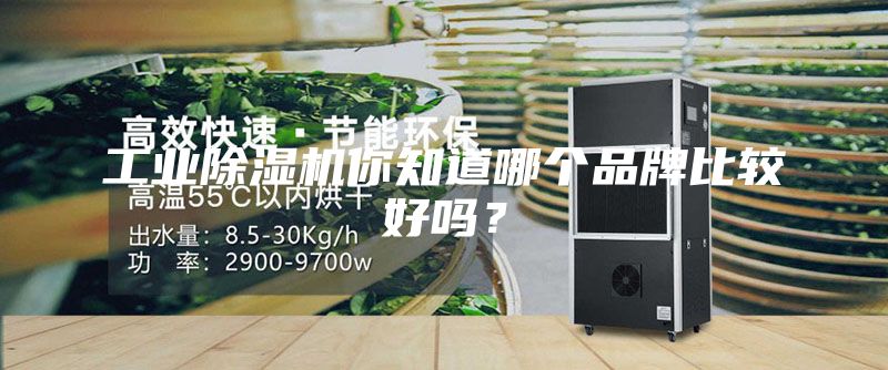 工业除湿机你知道哪个品牌比较好吗？