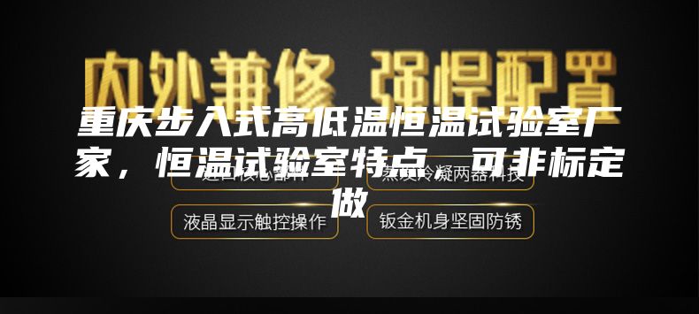 重庆步入式高低温恒温试验室厂家，恒温试验室特点，可非标定做