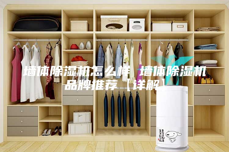 墙体除湿机怎么样 墙体除湿机品牌推荐【详解】