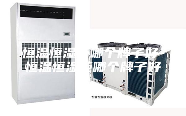 恒温恒湿箱哪个牌子好-恒温恒湿柜哪个牌子好