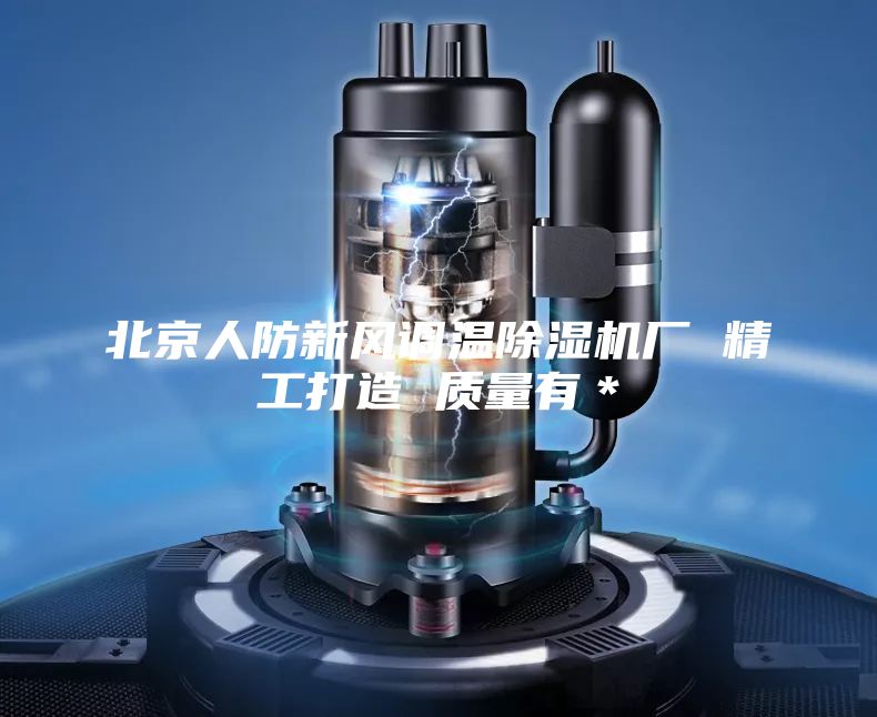 北京人防新风调温除湿机厂 精工打造 质量有＊