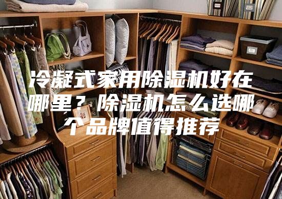 冷凝式家用除湿机好在哪里？除湿机怎么选哪个品牌值得推荐