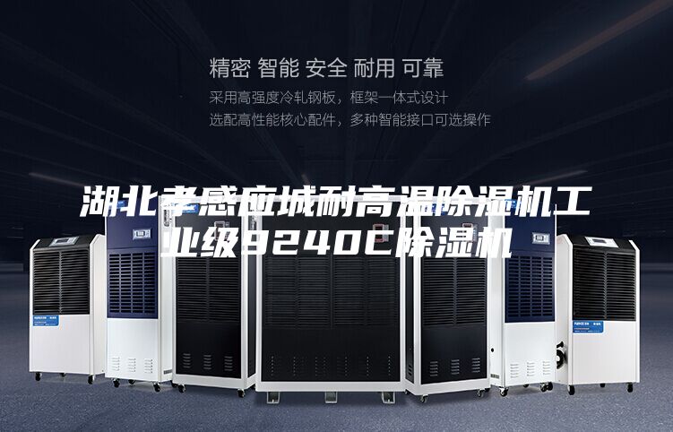 湖北孝感应城耐高温除湿机工业级9240C除湿机