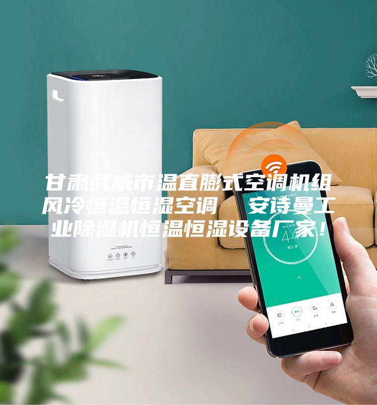 甘肃武威市温直膨式空调机组风冷恒温恒湿空调  安诗曼工业除湿机恒温恒湿设备厂家！