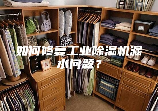 如何修复工业除湿机漏水问题？