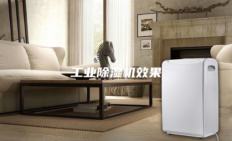 工业除湿机效果