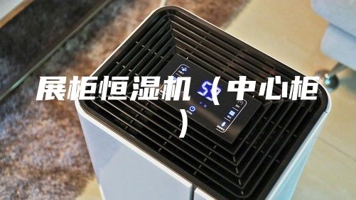 展柜恒湿机（中心柜）