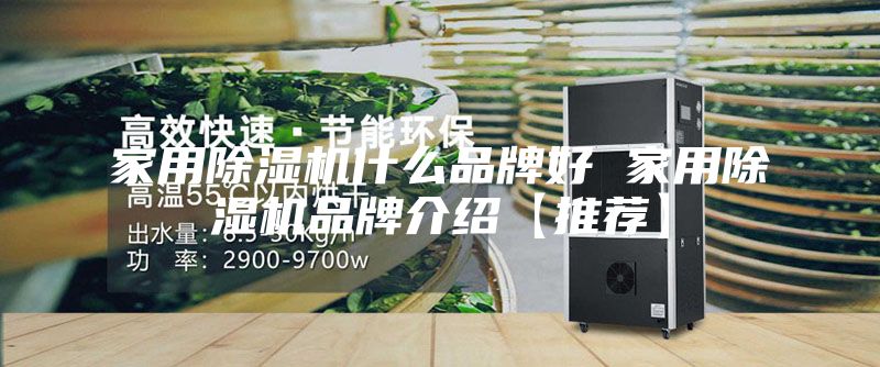 家用除湿机什么品牌好 家用除湿机品牌介绍【推荐】