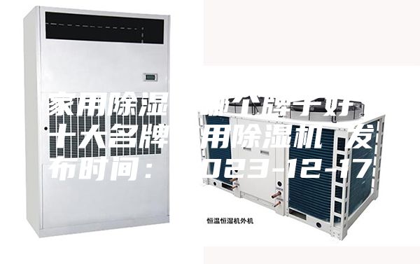 家用除湿机哪个牌子好 十大名牌家用除湿机 发布时间：2023-12-17
