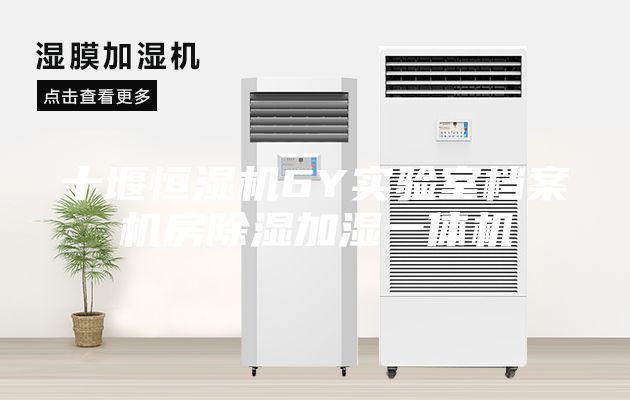 十堰恒湿机6Y实验室档案机房除湿加湿一体机