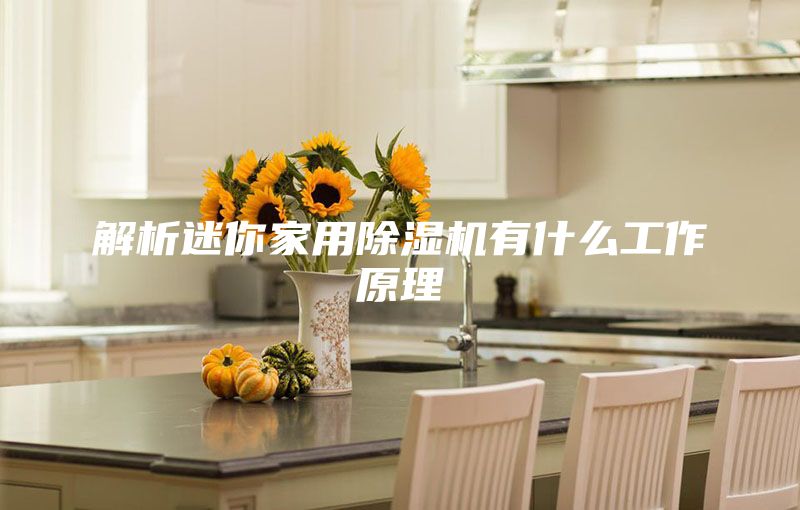 解析迷你家用除湿机有什么工作原理