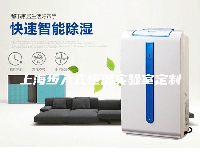 上海步入式恒湿实验室定制
