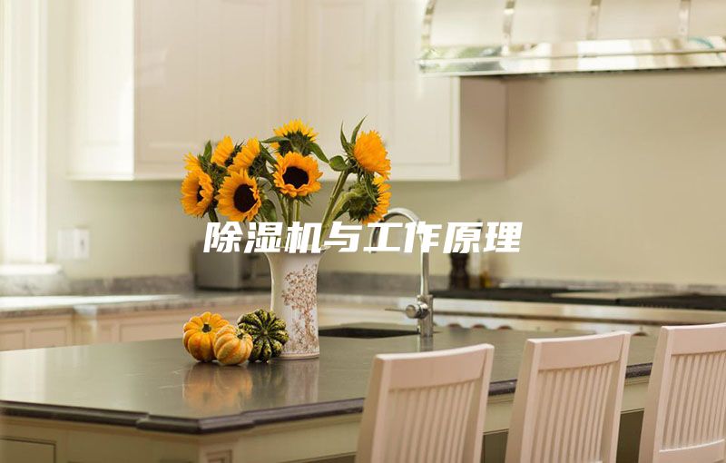 除湿机与工作原理