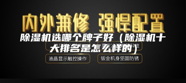 除湿机选哪个牌子好（除湿机十大排名是怎么样的）