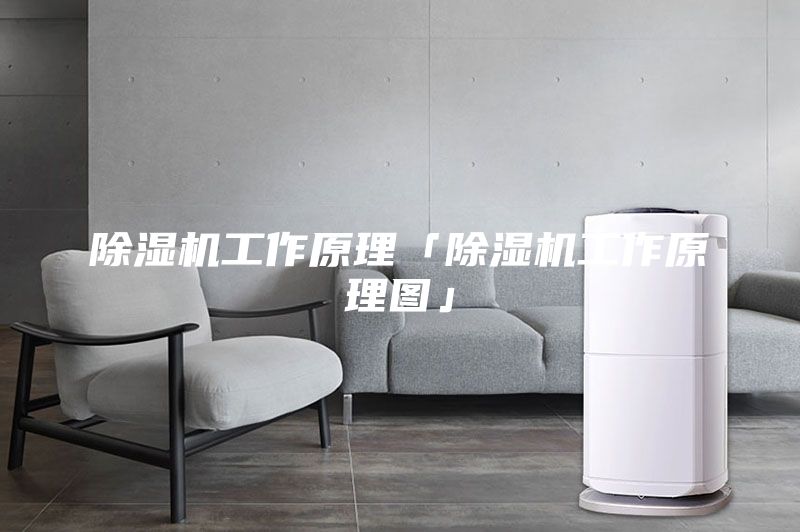 除湿机工作原理「除湿机工作原理图」
