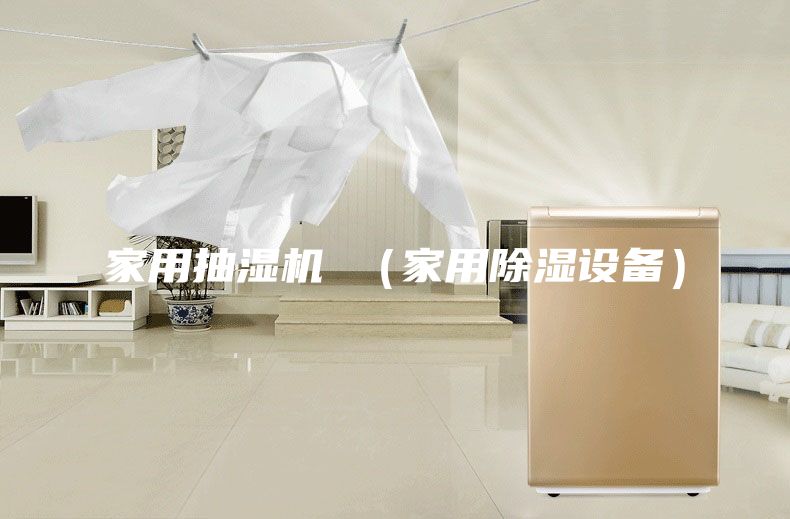 家用抽湿机 （家用除湿设备）
