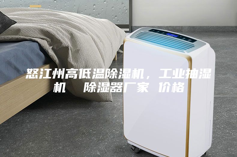 怒江州高低温除湿机，工业抽湿机  除湿器厂家 价格