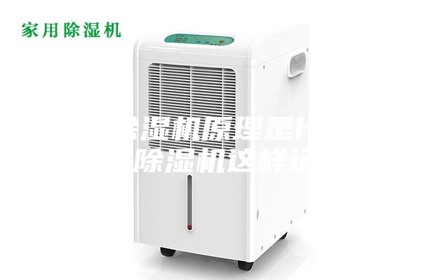 工业除湿机原理是什么？原来除湿机这样运作