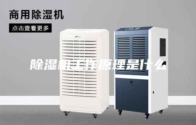 除湿机工作原理是什么