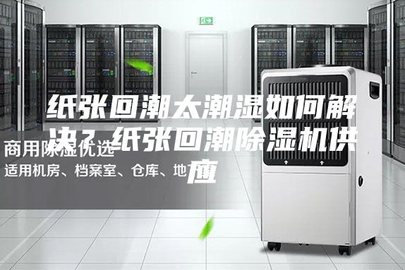 纸张回潮太潮湿如何解决？纸张回潮除湿机供应