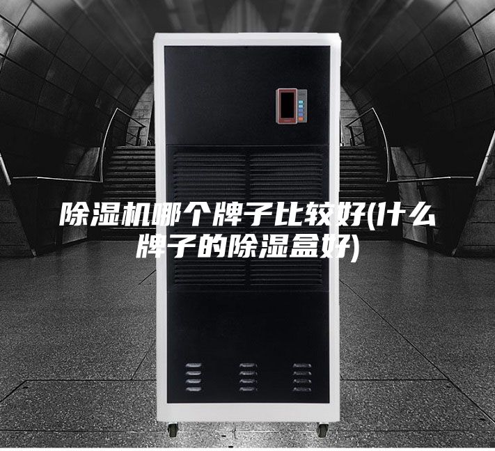 除湿机哪个牌子比较好(什么牌子的除湿盒好)