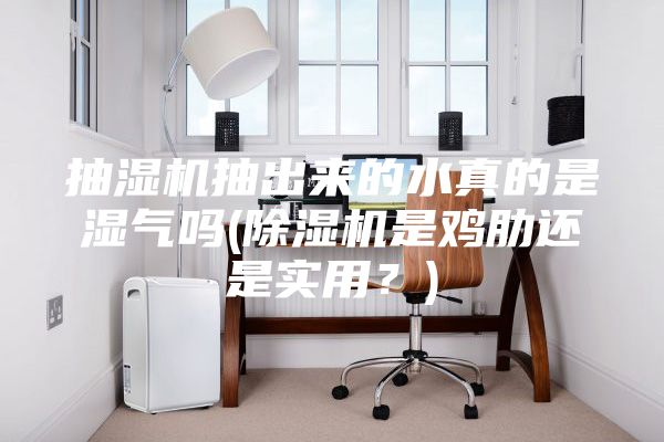 抽湿机抽出来的水真的是湿气吗(除湿机是鸡肋还是实用？)