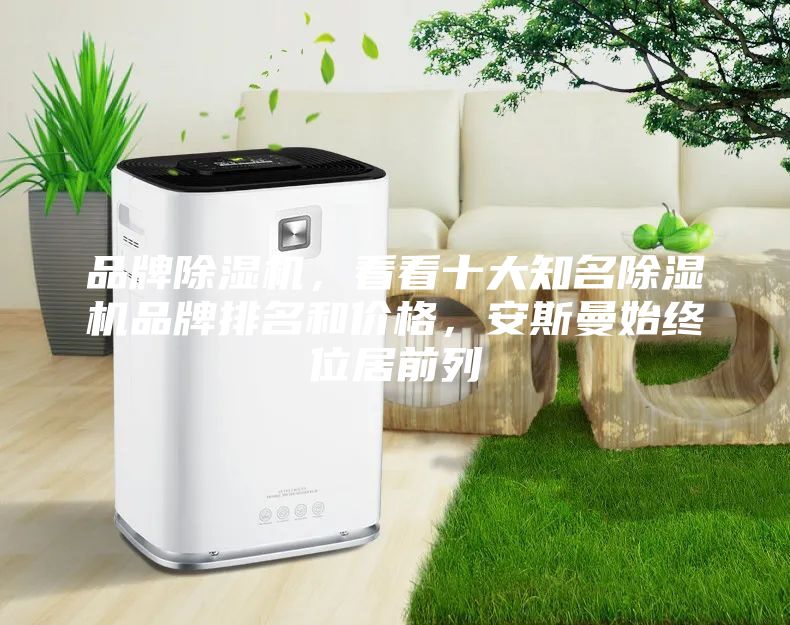 品牌除湿机，看看十大知名除湿机品牌排名和价格，安斯曼始终位居前列