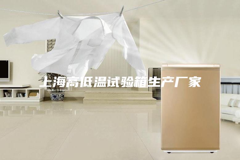 上海高低温试验箱生产厂家