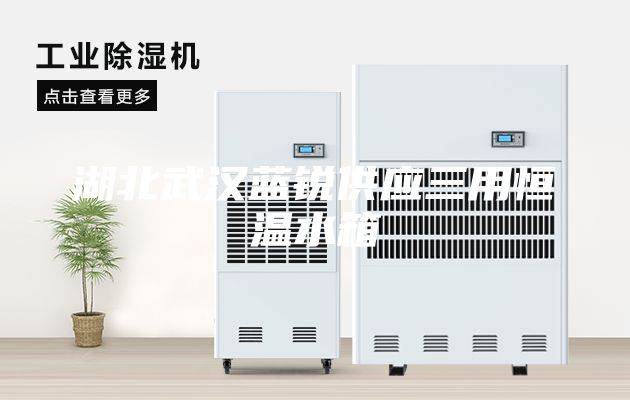湖北武汉蓝锐供应三用恒温水箱