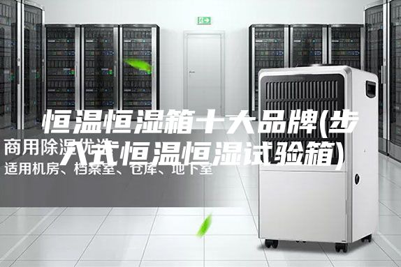 恒温恒湿箱十大品牌(步入式恒温恒湿试验箱)