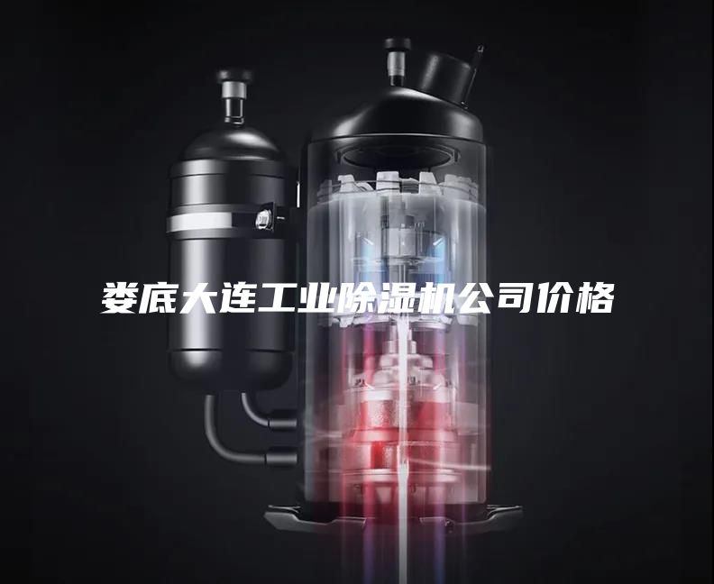 娄底大连工业除湿机公司价格