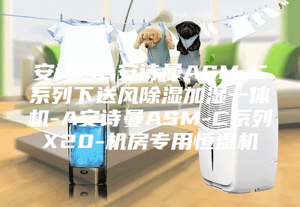 安诗曼A安诗曼ASM-C系列下送风除湿加湿一体机-A安诗曼ASM-C系列X20-机房专用恒湿机