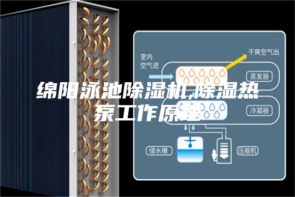 绵阳泳池除湿机,除湿热泵工作原理