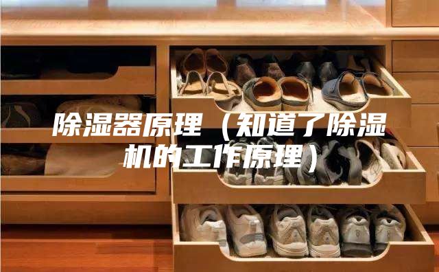 除湿器原理（知道了除湿机的工作原理）