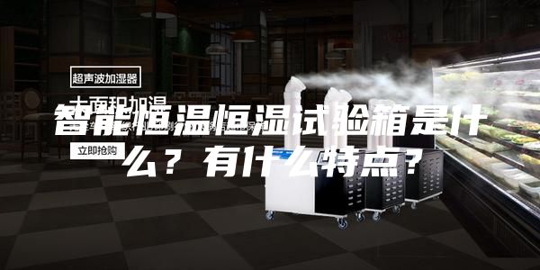 智能恒温恒湿试验箱是什么？有什么特点？