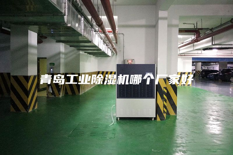 青岛工业除湿机哪个厂家好