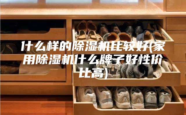 什么样的除湿机比较好(家用除湿机什么牌子好性价比高)