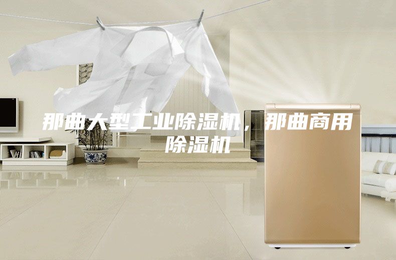 那曲大型工业除湿机，那曲商用除湿机