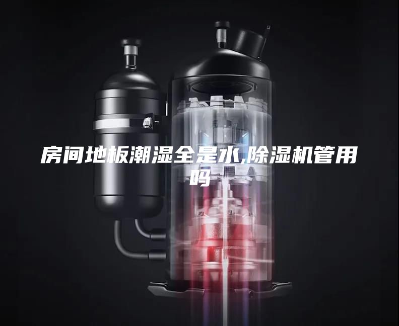 房间地板潮湿全是水,除湿机管用吗