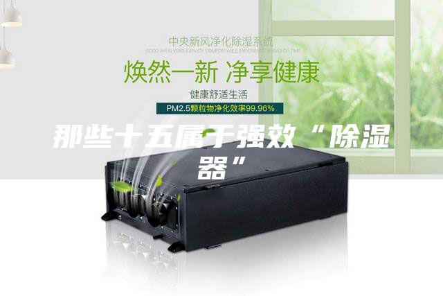 那些十五属于强效“除湿器”