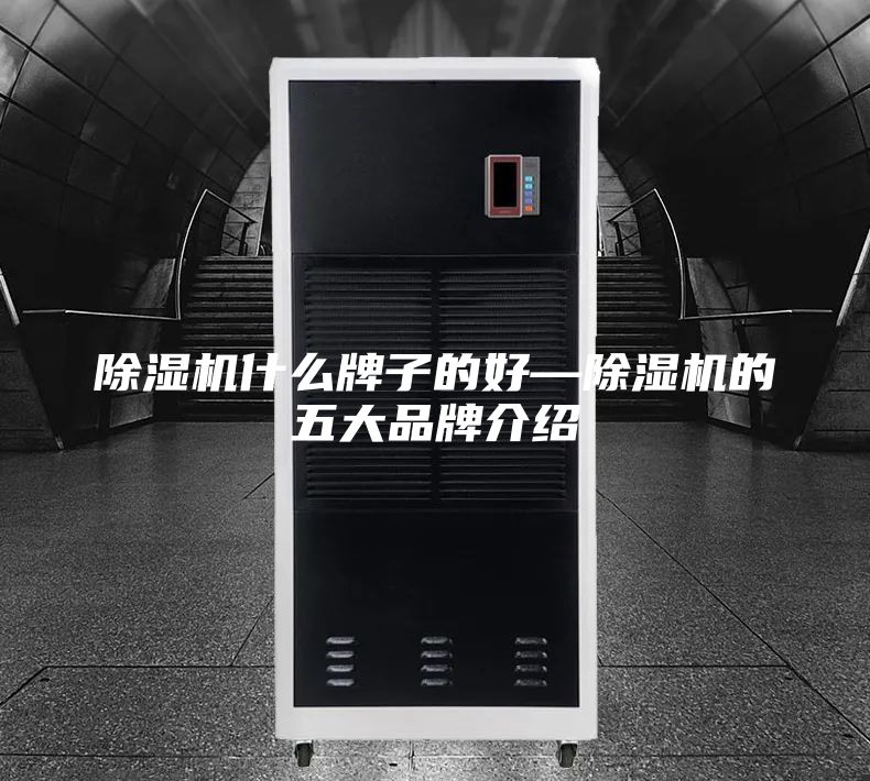除湿机什么牌子的好—除湿机的五大品牌介绍
