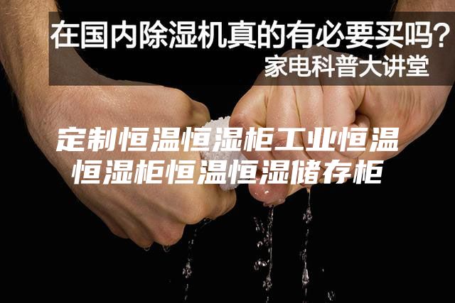 定制恒温恒湿柜工业恒温恒湿柜恒温恒湿储存柜