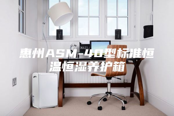 惠州ASM-40型标准恒温恒湿养护箱