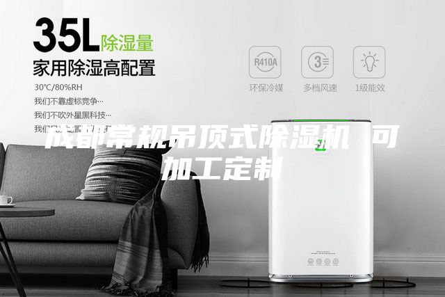 成都常规吊顶式除湿机 可加工定制