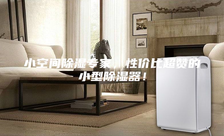 小空间除湿专家，性价比超赞的小型除湿器！