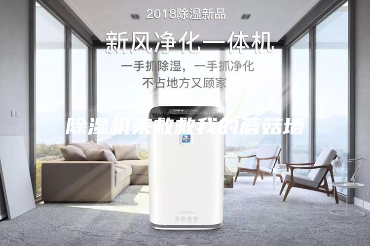 除湿机来救救我的蘑菇墙