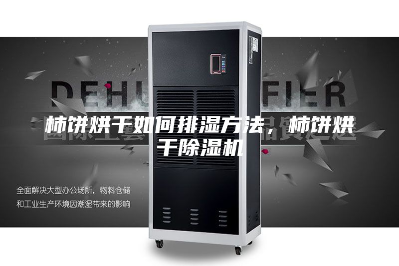柿饼烘干如何排湿方法，柿饼烘干除湿机