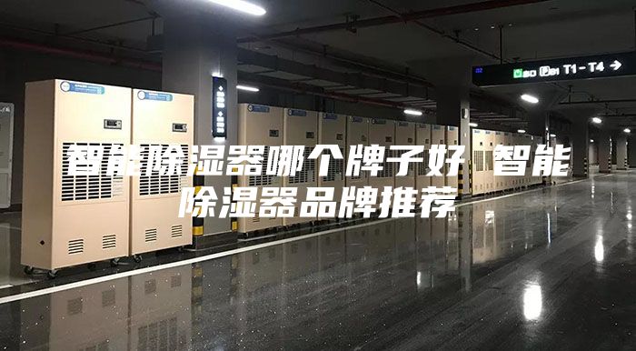 智能除湿器哪个牌子好 智能除湿器品牌推荐