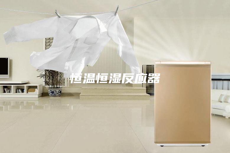 恒温恒湿反应器