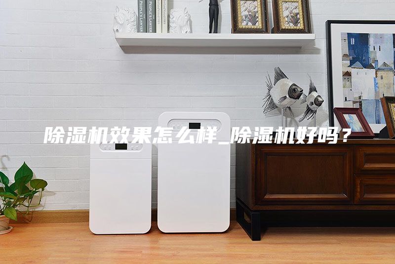 除湿机效果怎么样_除湿机好吗？